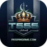 T555 Game
