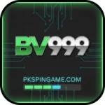 BV999