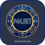 P44 Game